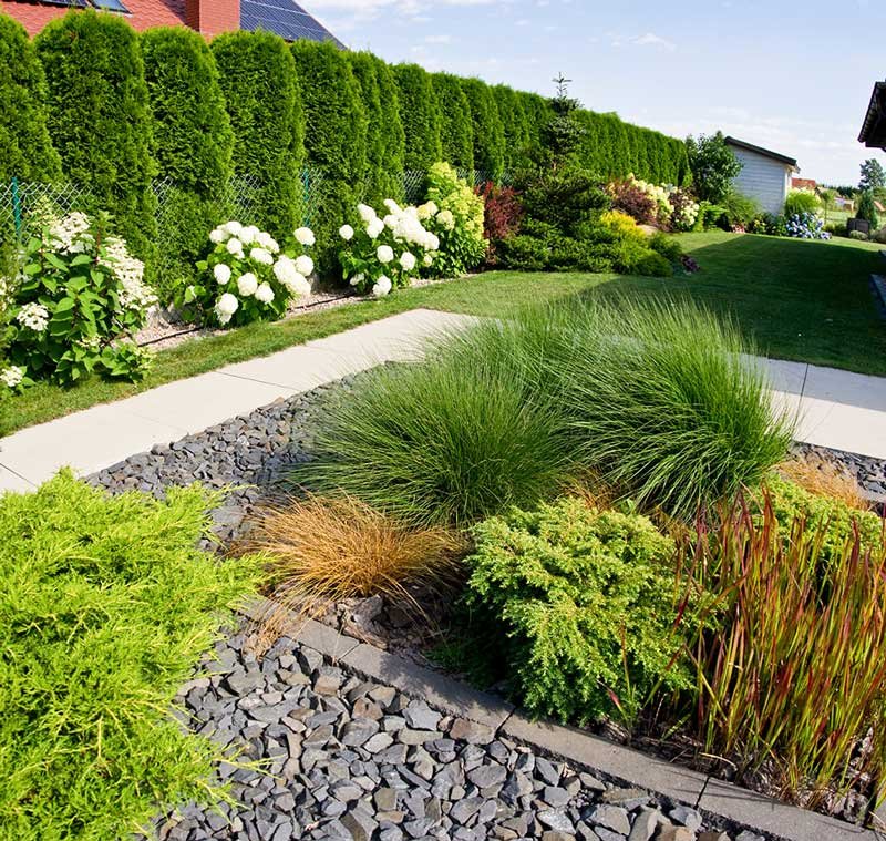 entretien espace vert &agrave; Freneuse